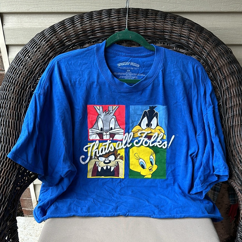 Looney Tunes That’s all Folks Short Sleeve Blue Crop Top 2X